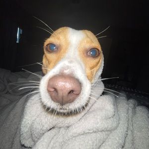 Meet your Posher, Leslye